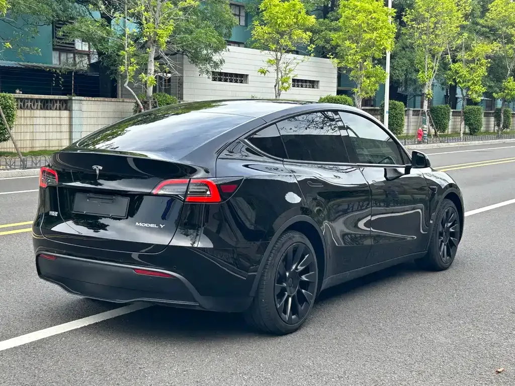 Tesla Model Y — фото 6