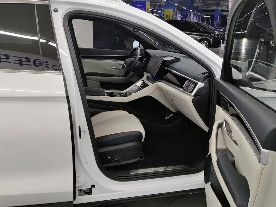 BYD PLUS New Energy — фото 10