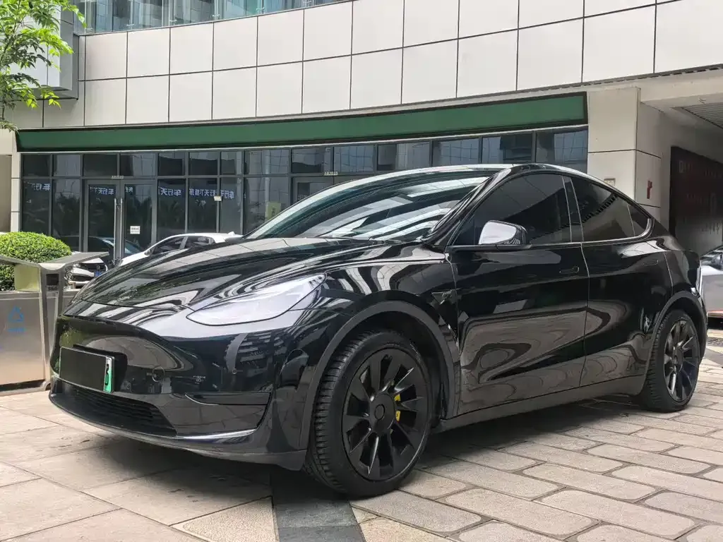 Tesla Model Y — фото 1