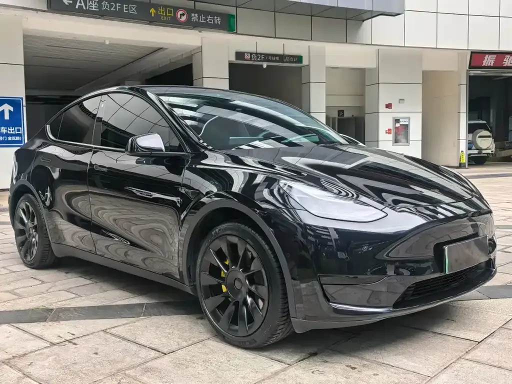 Tesla Model Y — фото 3