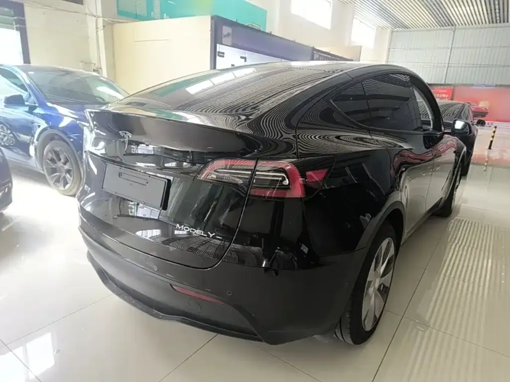 Tesla Model Y — фото 10