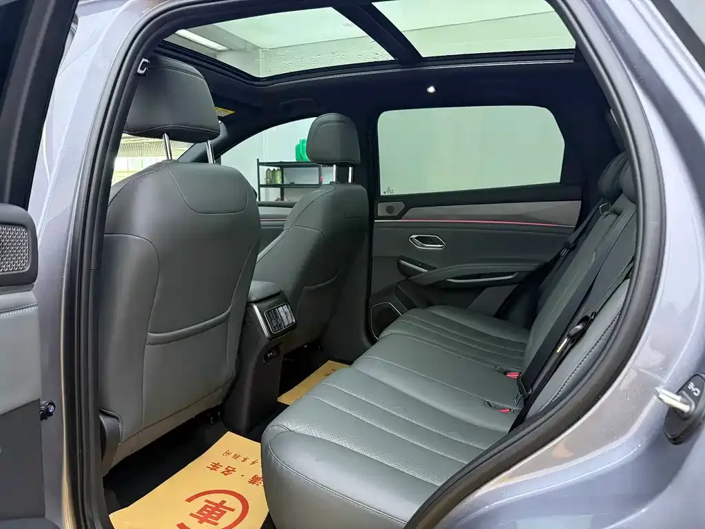 BYD L DM-i — фото 6