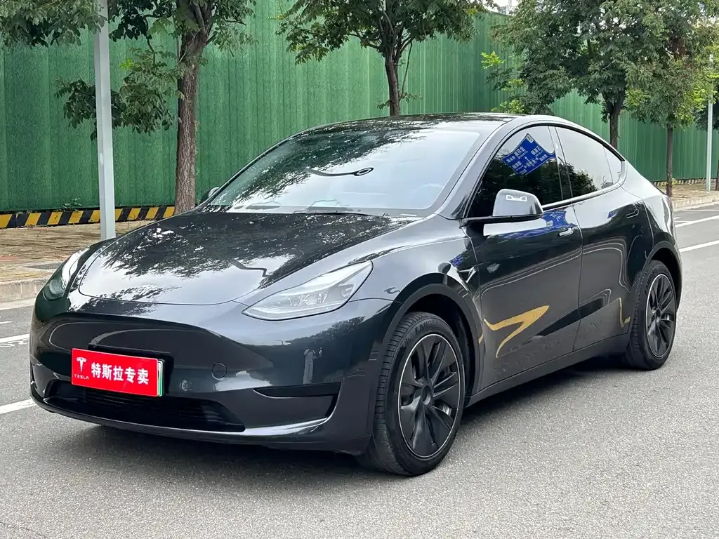 Tesla Model Y — фото 1