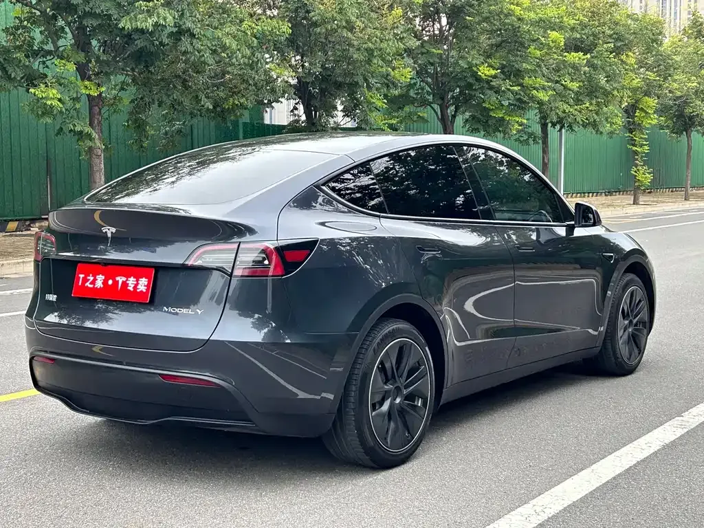 Tesla Model Y — фото 10