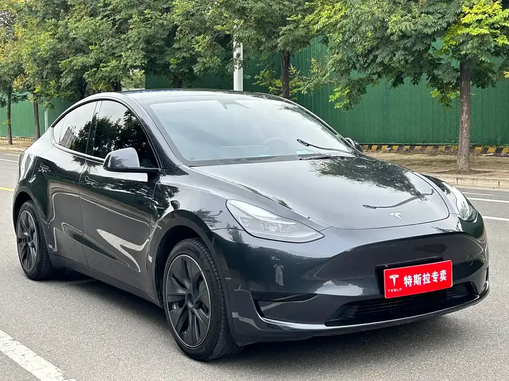 Tesla Model Y — фото 9