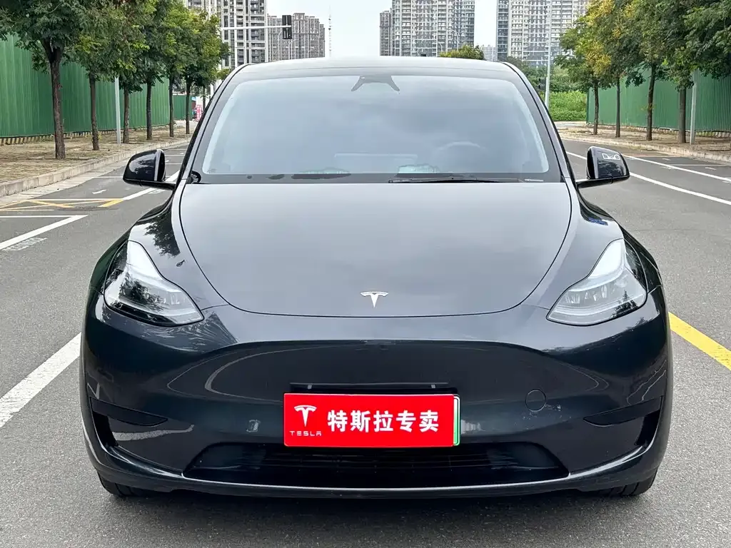 Tesla Model Y — фото 4
