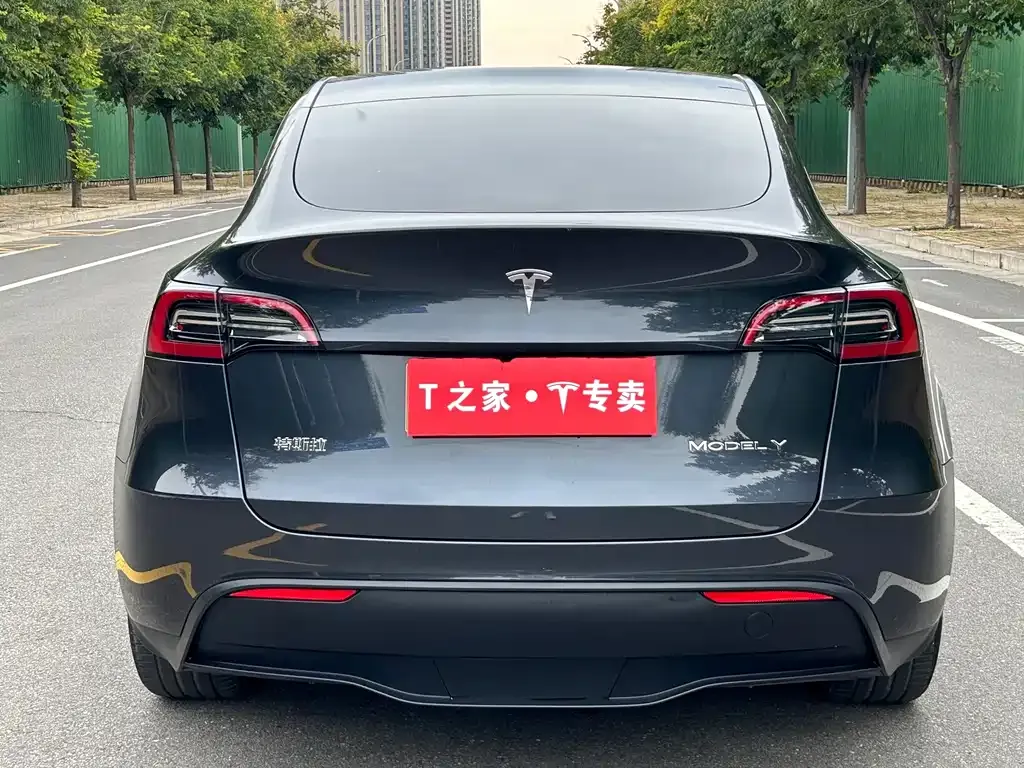 Tesla Model Y — фото 2