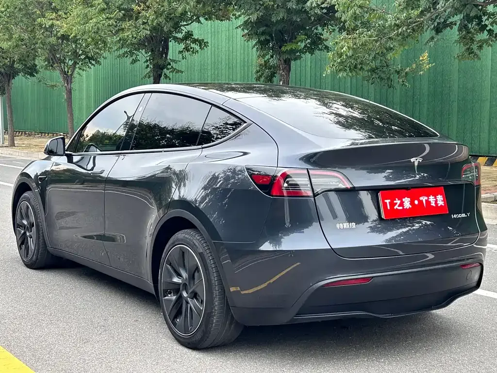 Tesla Model Y — фото 5