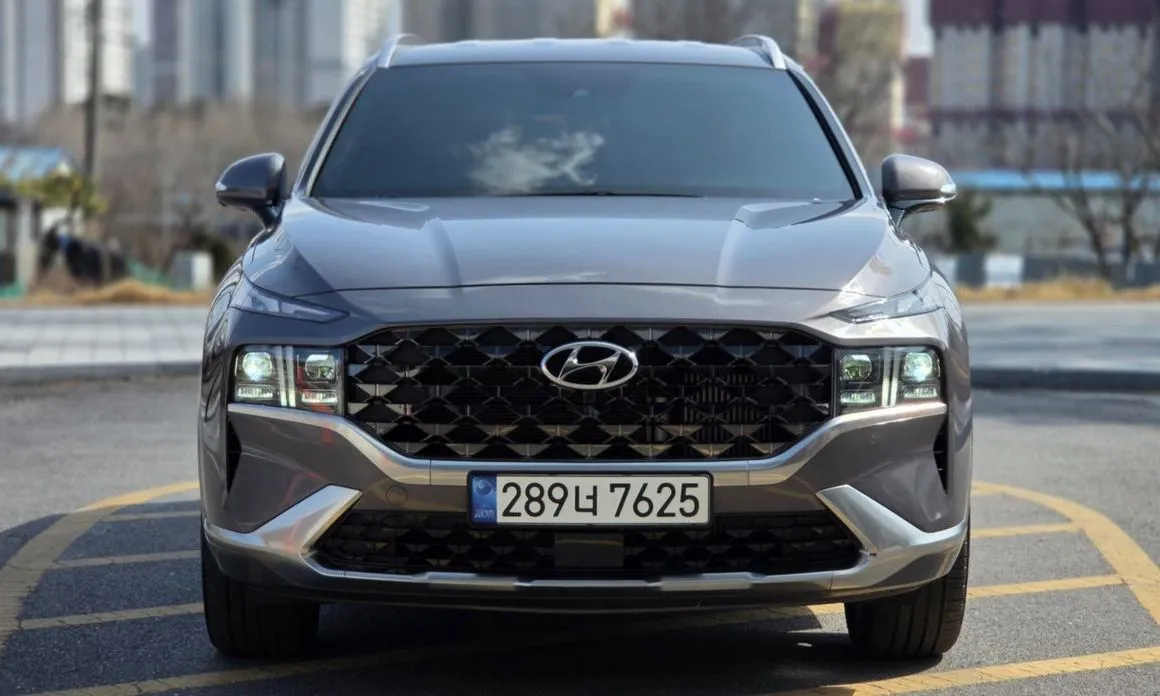 Hyundai Santafe — фото 10