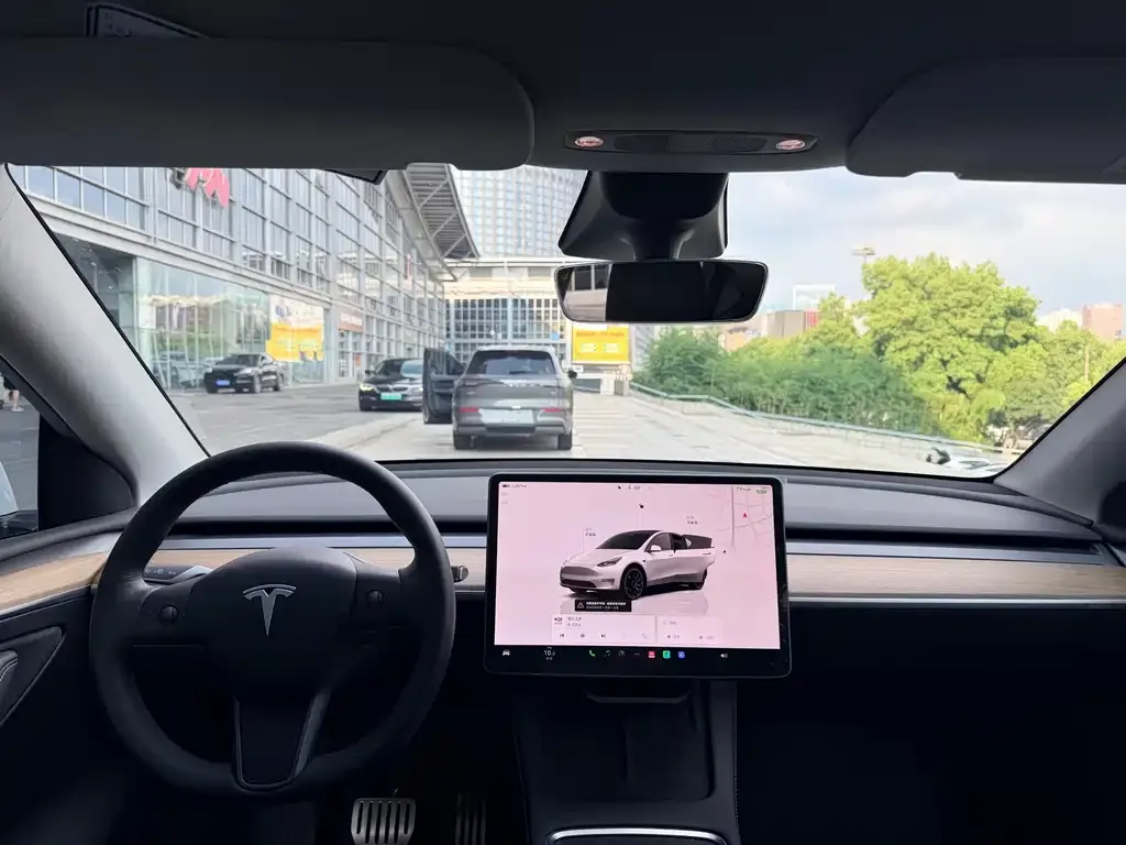 Tesla Model Y — фото 2