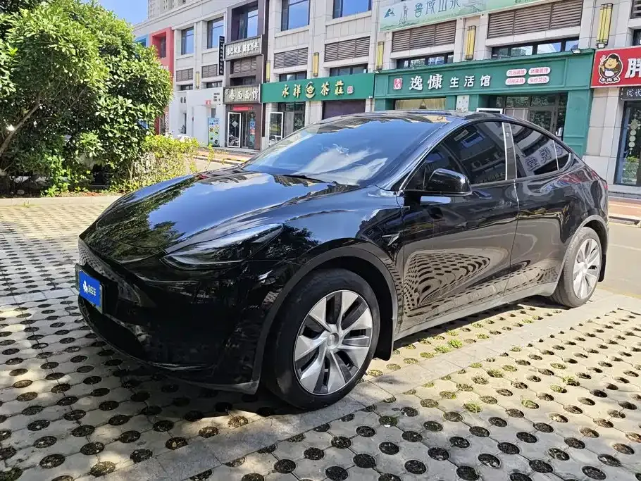 Tesla Model Y — фото 1