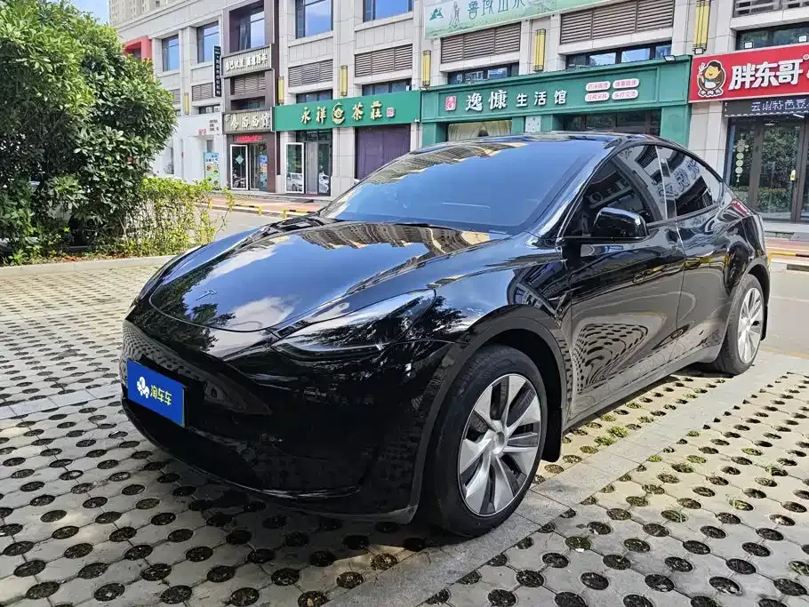 Tesla Model Y — фото 8