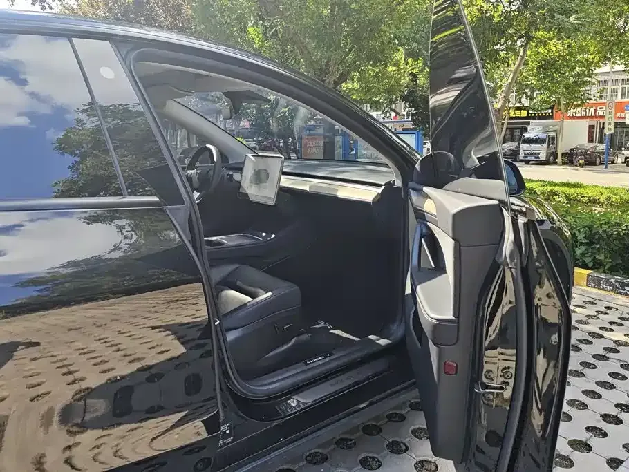 Tesla Model Y — фото 2