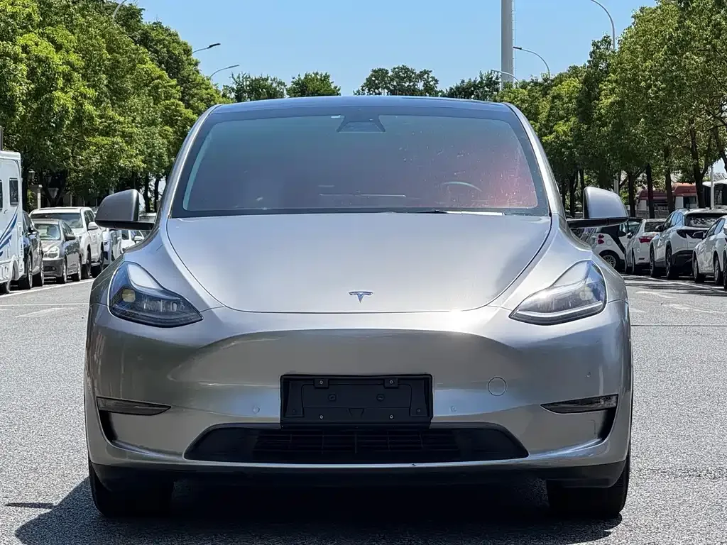 Tesla Model Y — фото 8