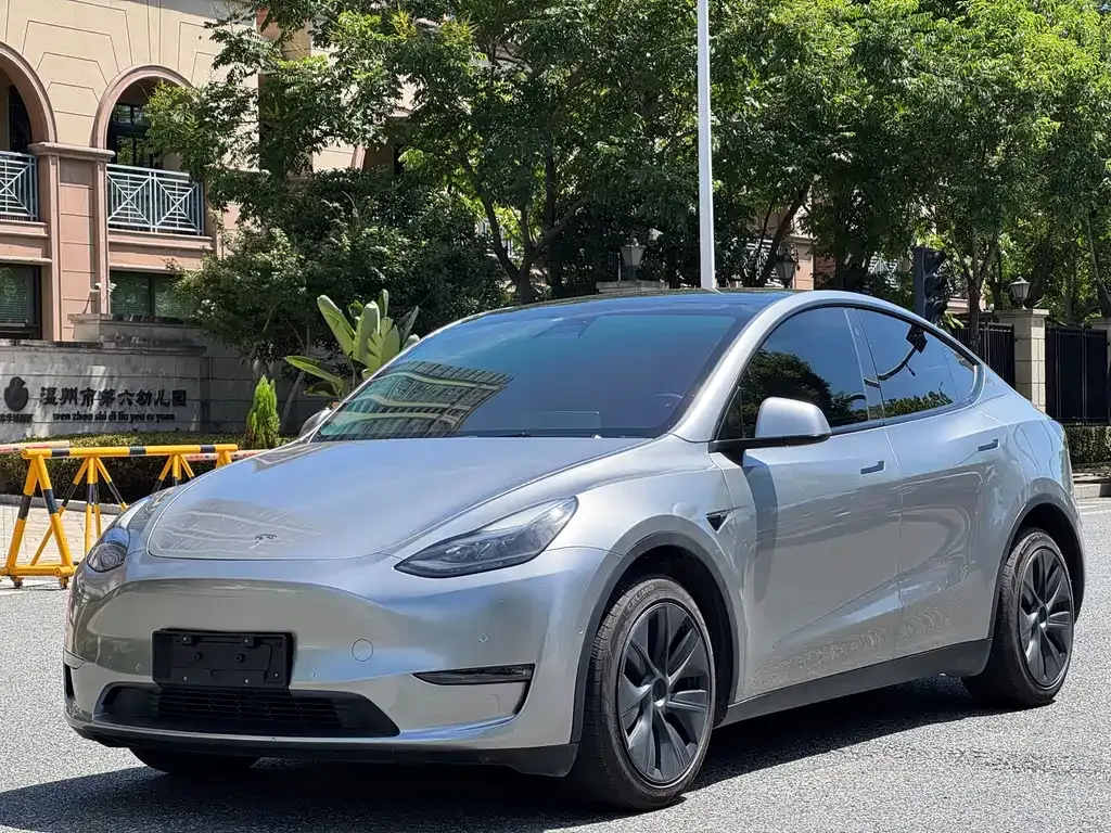 Tesla Model Y — фото 10