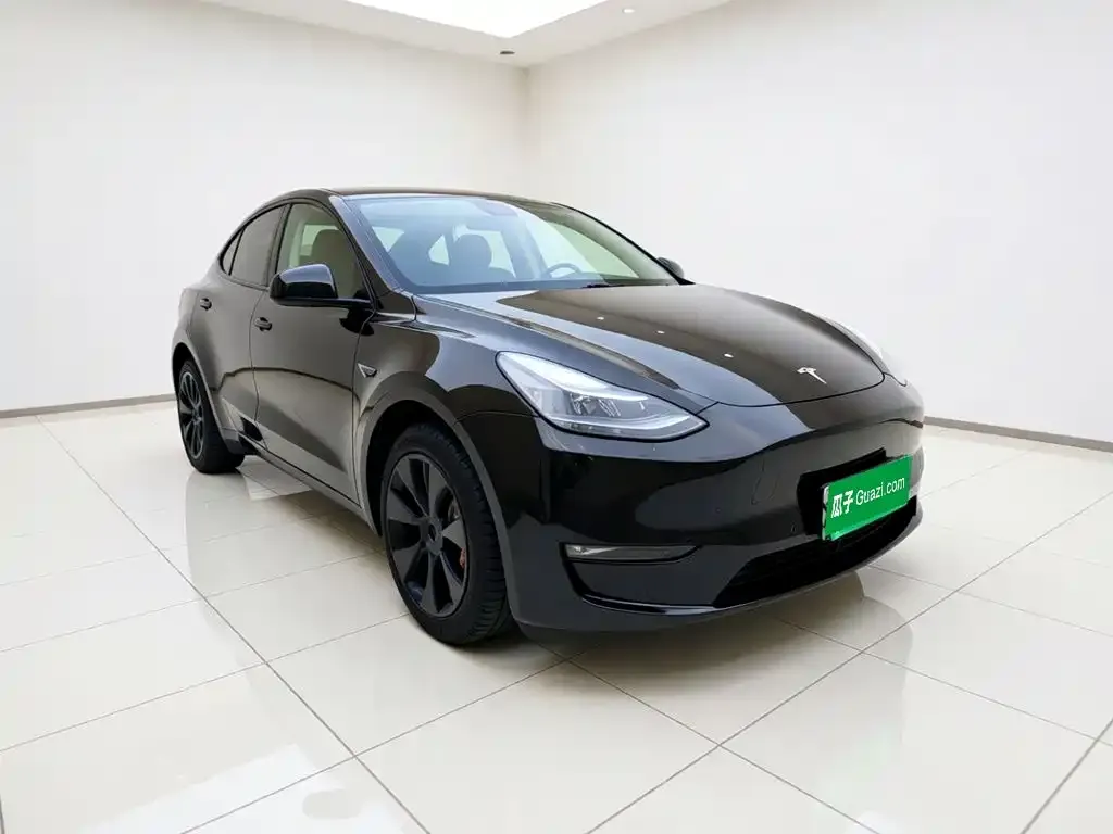 Tesla Model Y — фото 5