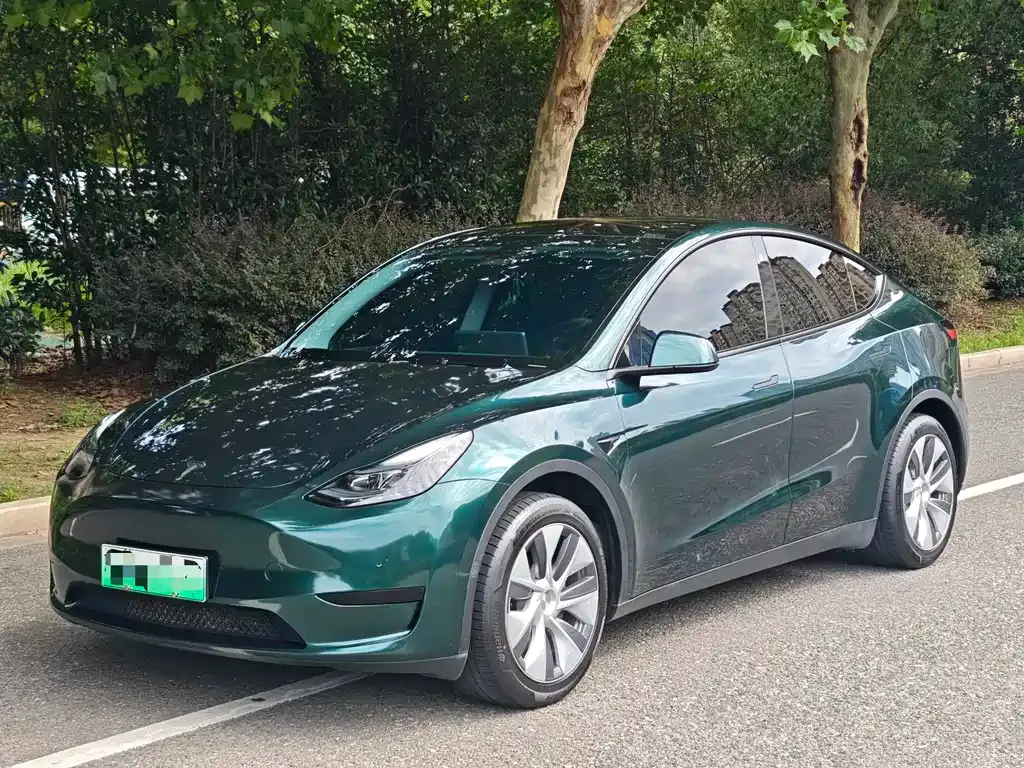 Tesla Model Y — фото 1