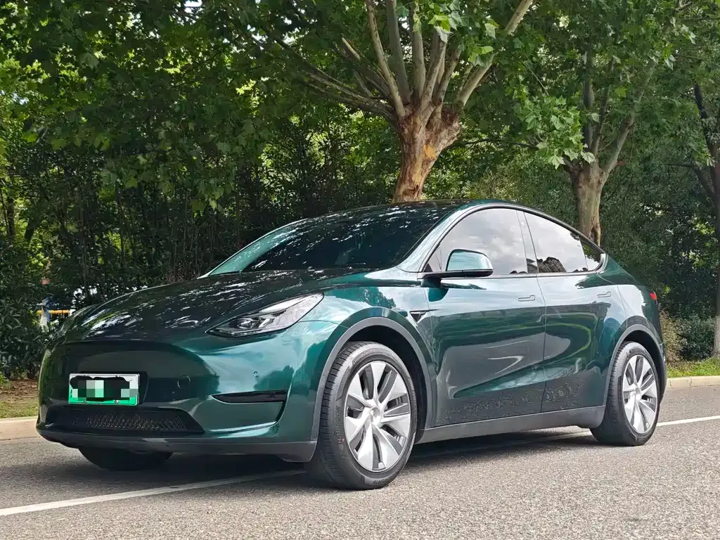 Tesla Model Y — фото 6