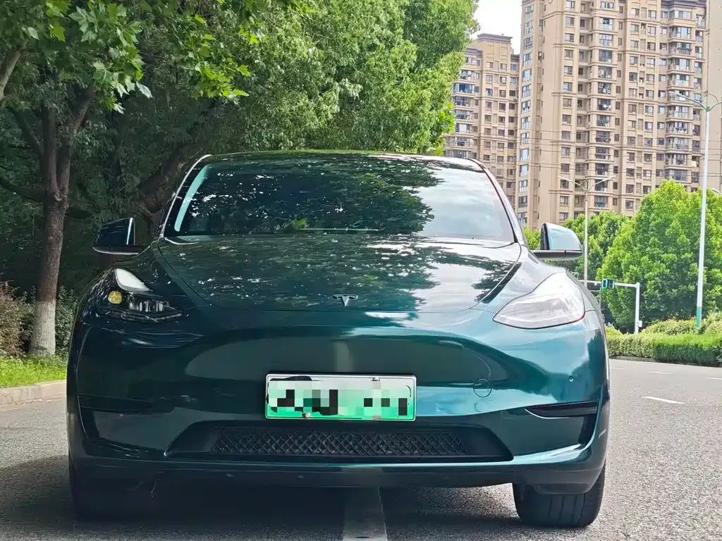 Tesla Model Y — фото 3