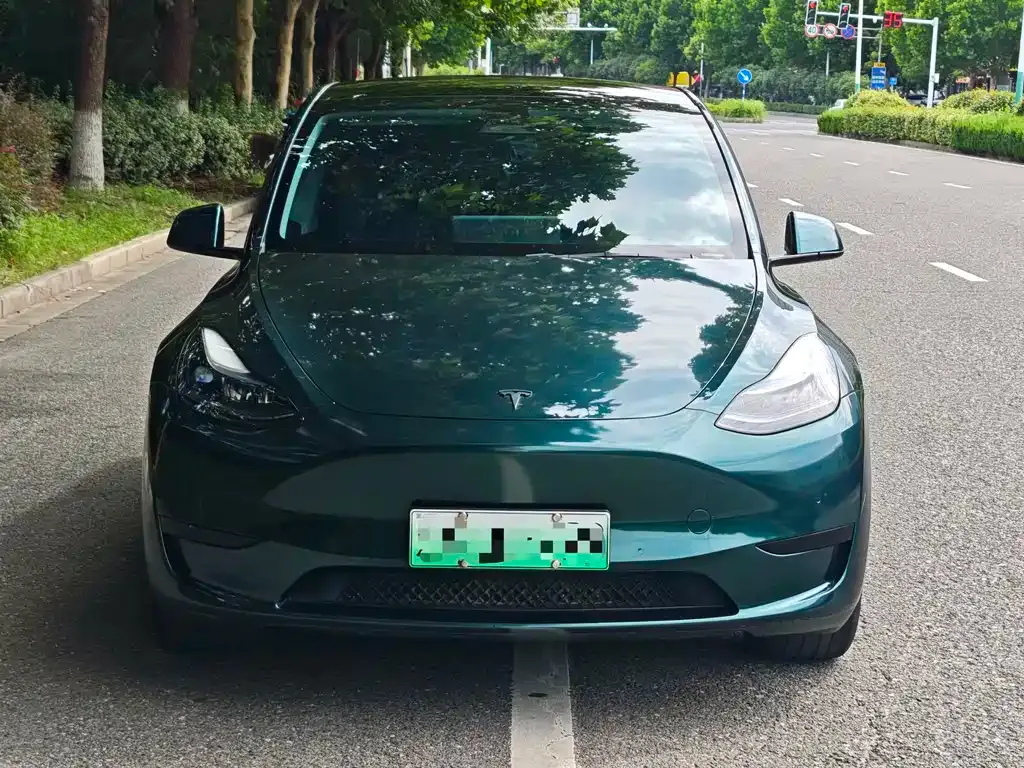 Tesla Model Y — фото 2