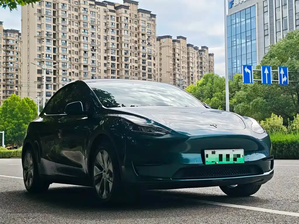 Tesla Model Y — фото 9