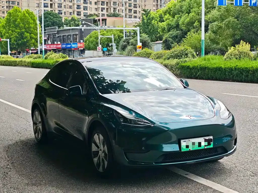 Tesla Model Y — фото 8