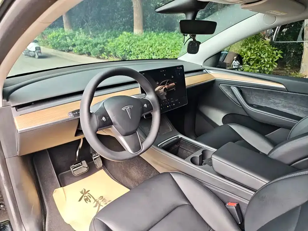 Tesla Model Y — фото 10