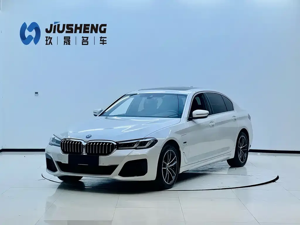 BMW 5 Series New Energy — фото 1