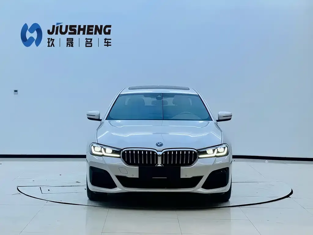 BMW 5 Series New Energy — фото 2