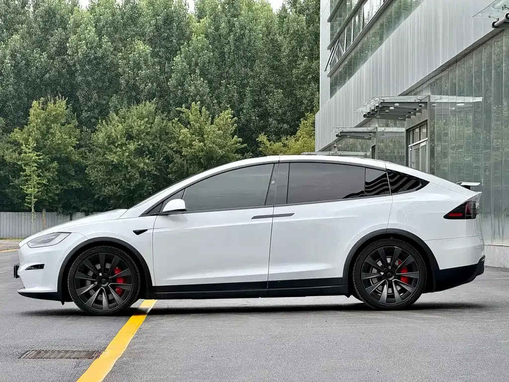 Tesla Model X — фото 10
