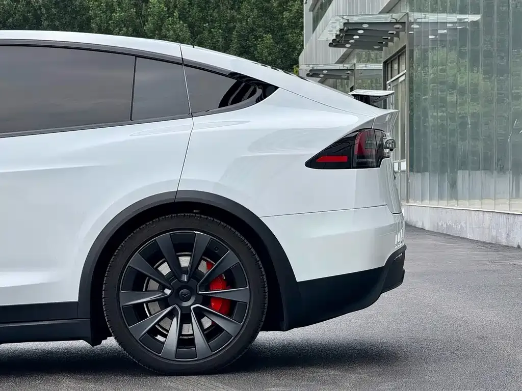 Tesla Model X — фото 6