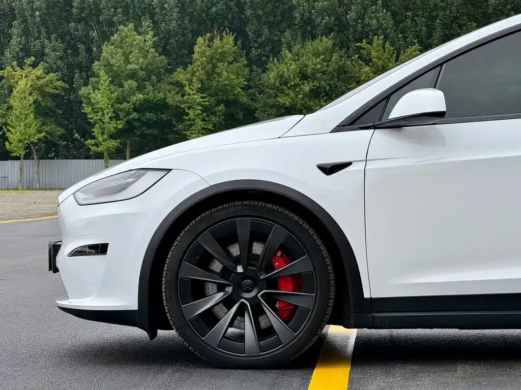Tesla Model X — фото 7
