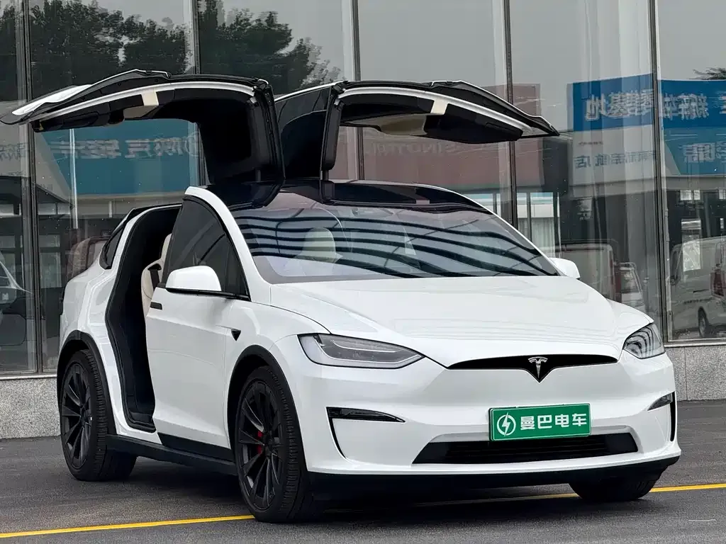 Tesla Model X — фото 8