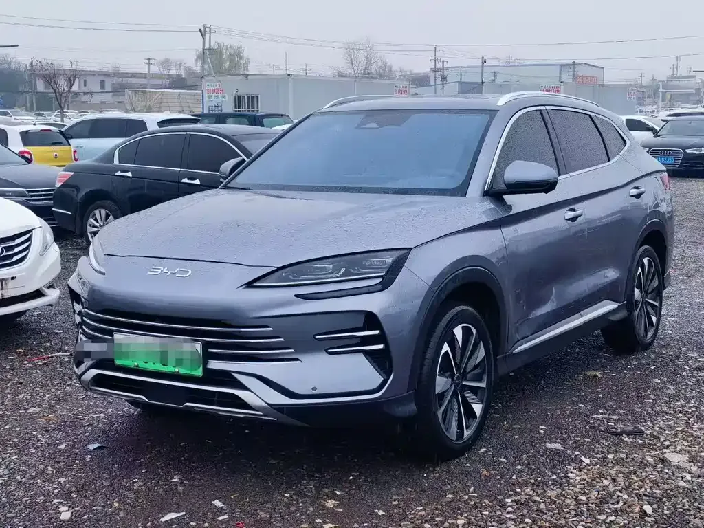BYD PLUS New Energy — фото 1
