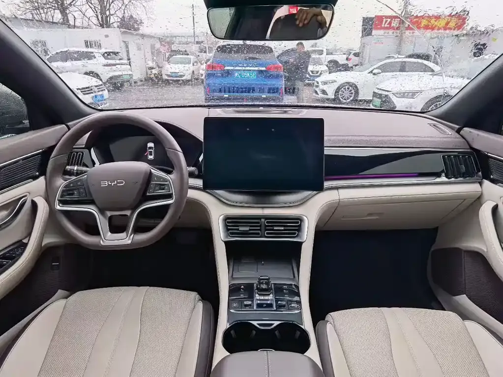 BYD PLUS New Energy — фото 2
