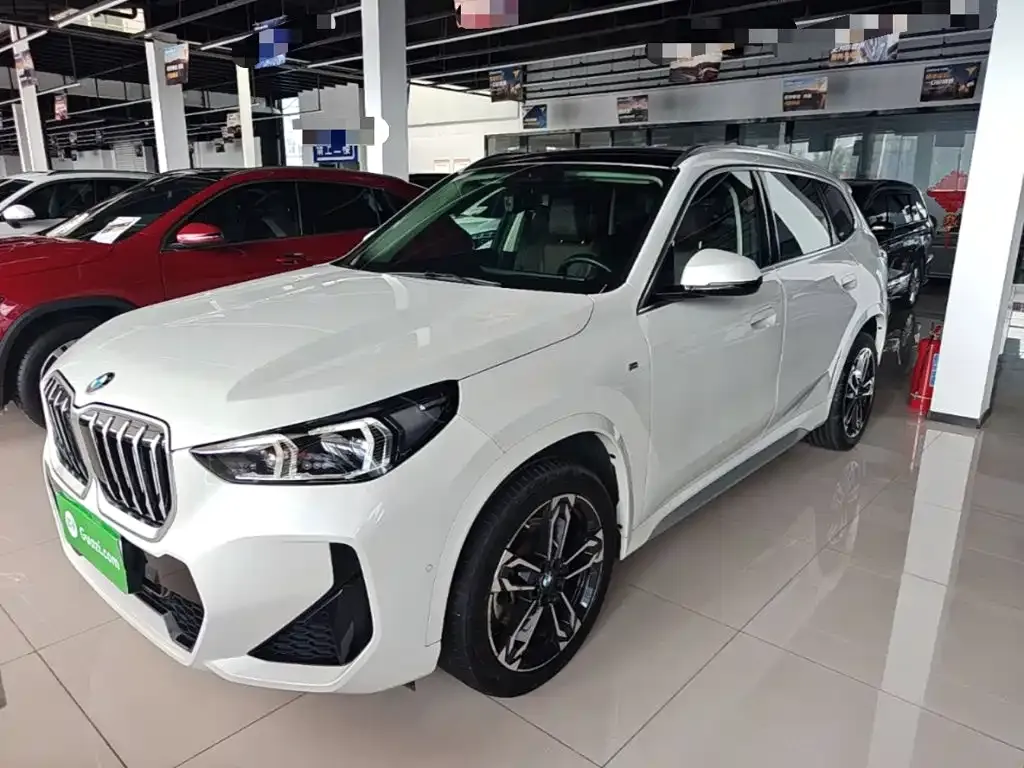 BMW X1 — фото 1