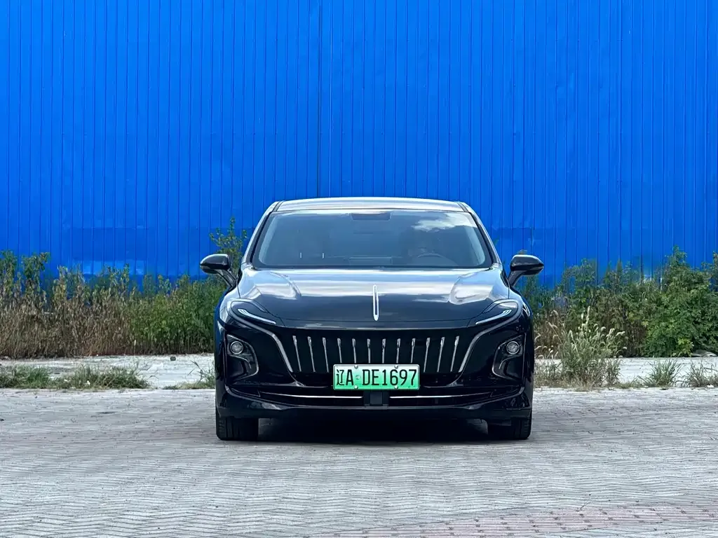 Hongqi E-QM5 — фото 3
