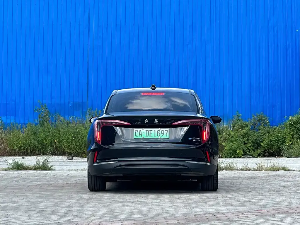 Hongqi E-QM5 — фото 8