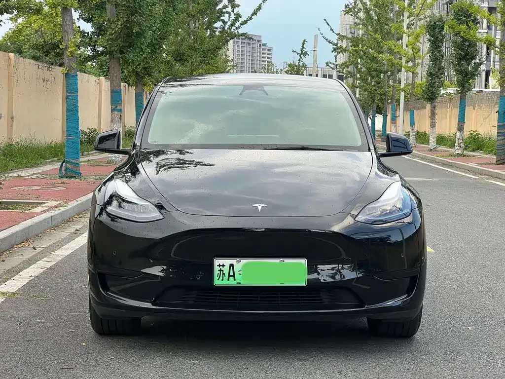 Tesla Model Y — фото 1