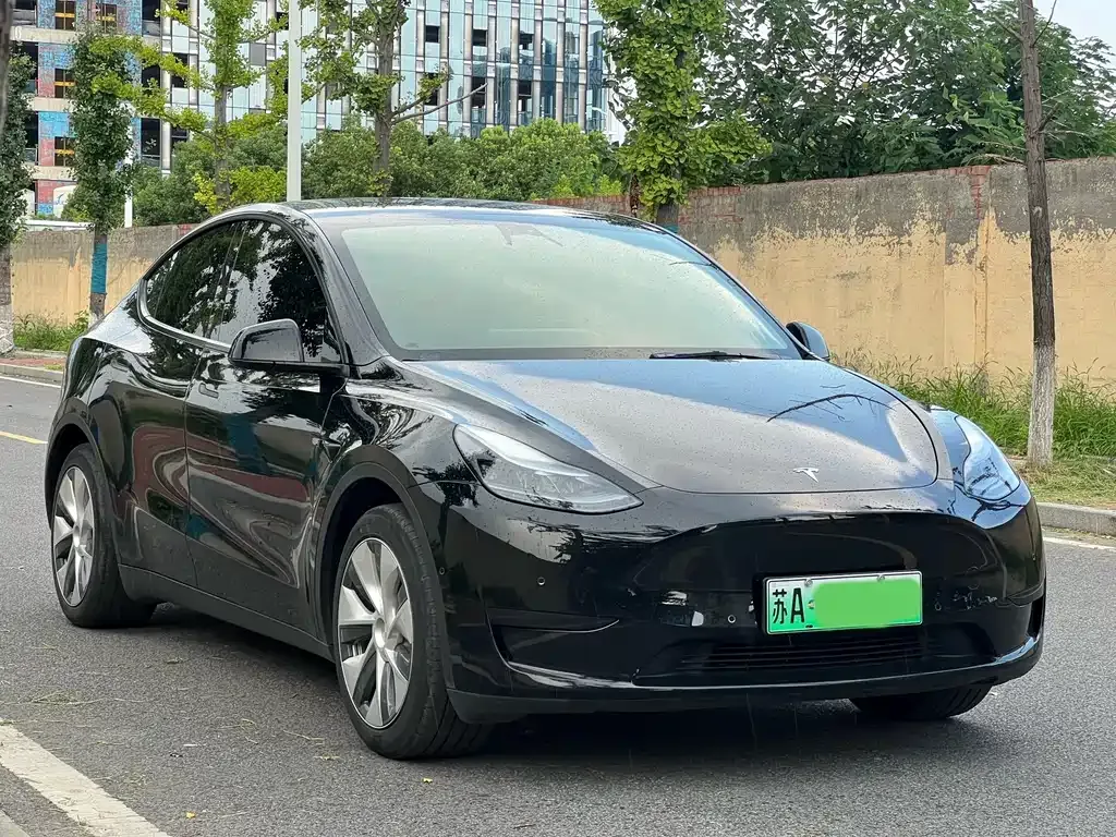 Tesla Model Y — фото 10
