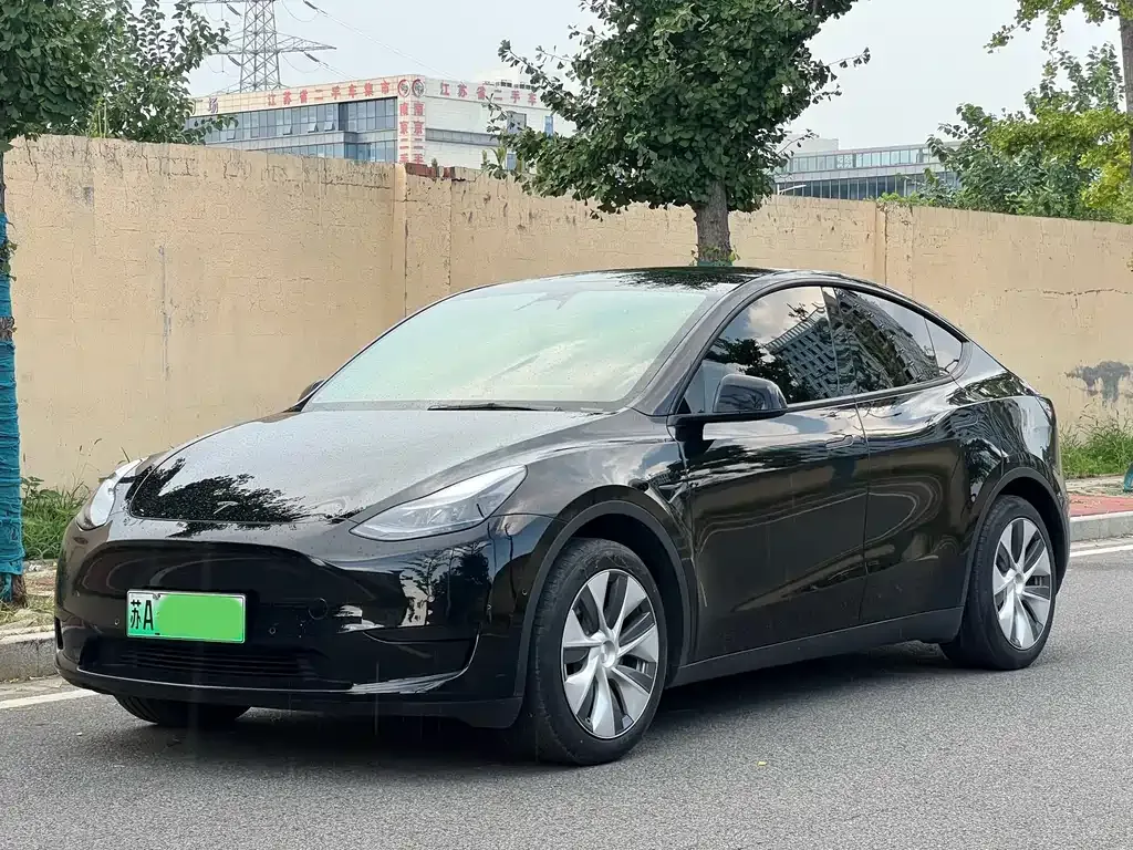 Tesla Model Y — фото 3