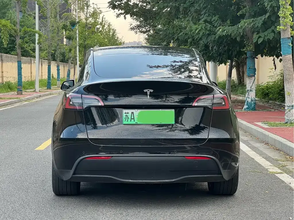 Tesla Model Y — фото 4