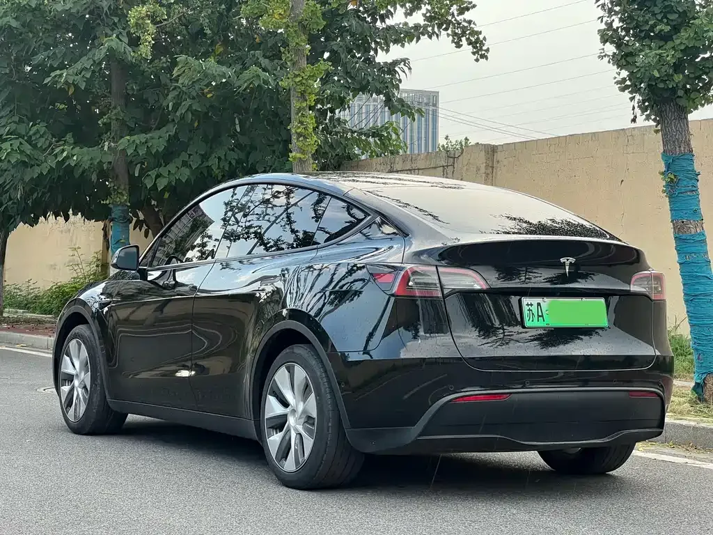 Tesla Model Y — фото 5