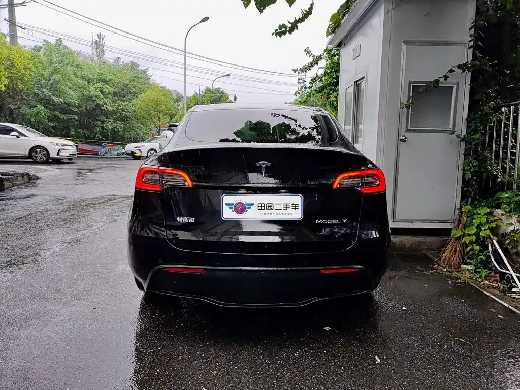 Tesla Model Y — фото 6