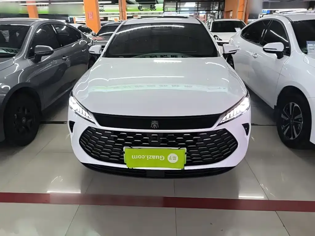 BYD Qin PLUS — фото 6