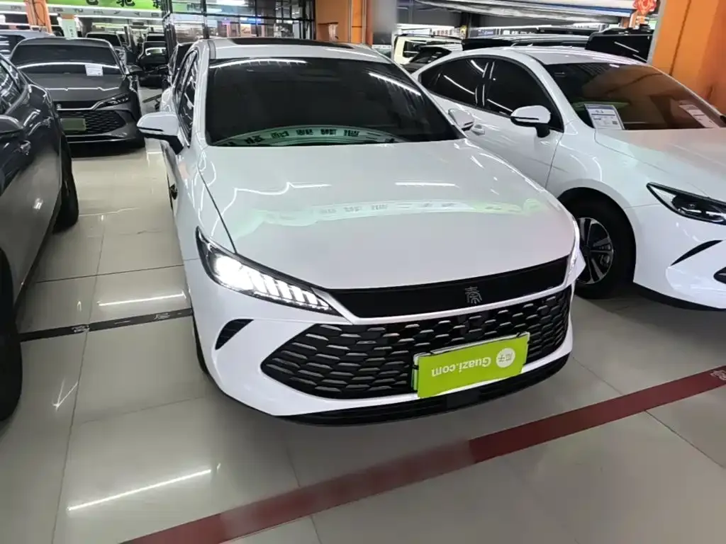 BYD Qin PLUS — фото 3