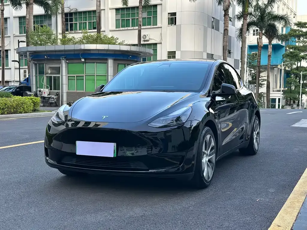 Tesla Model Y — фото 1