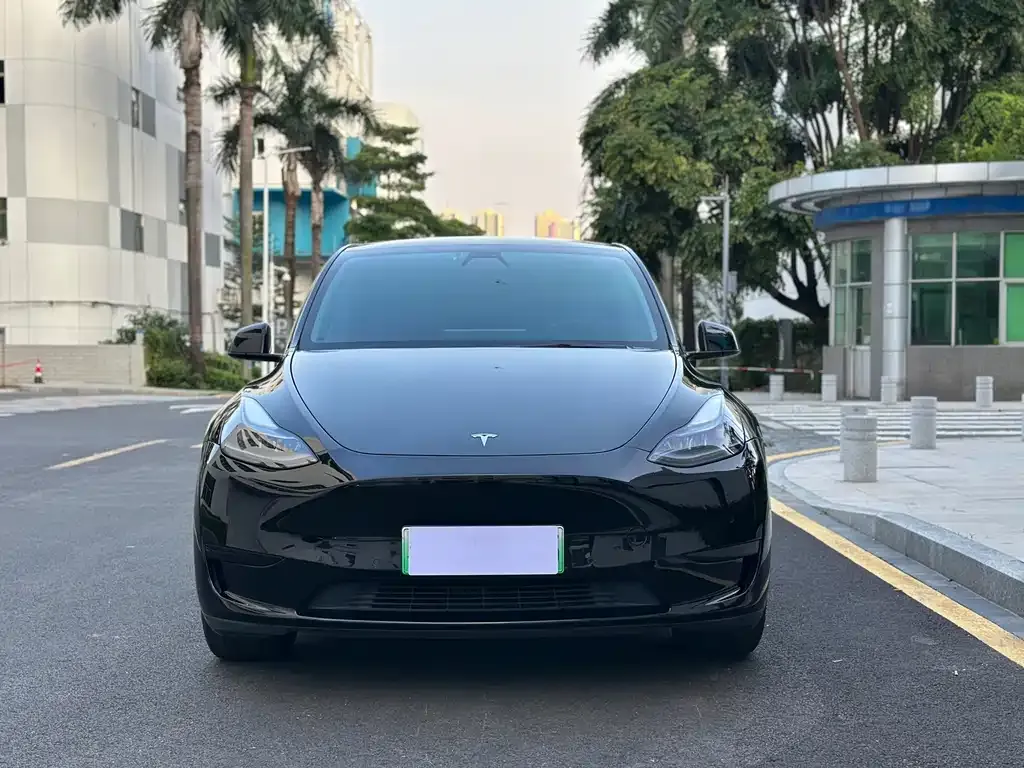 Tesla Model Y — фото 3