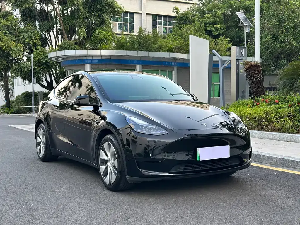 Tesla Model Y — фото 10