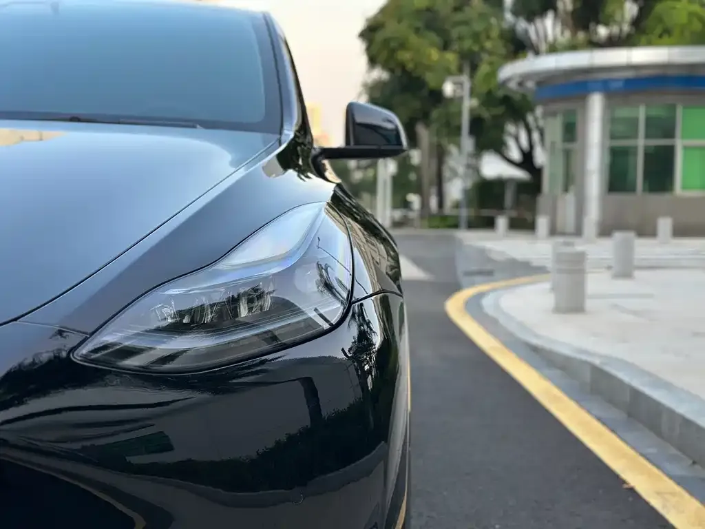 Tesla Model Y — фото 2